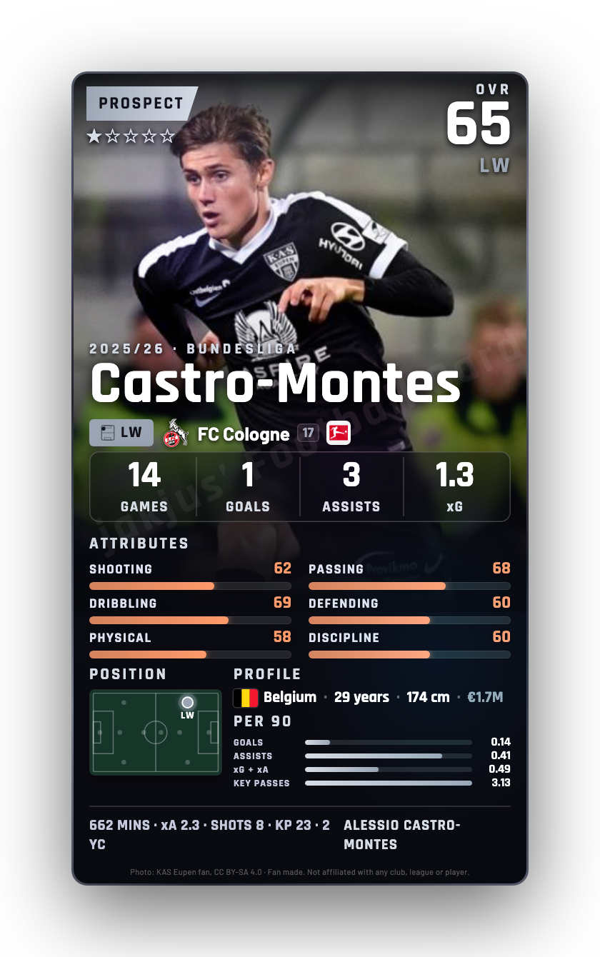Castro-Montes
