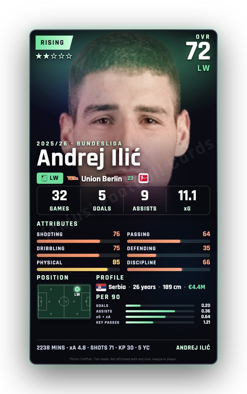 Andrej Ilić