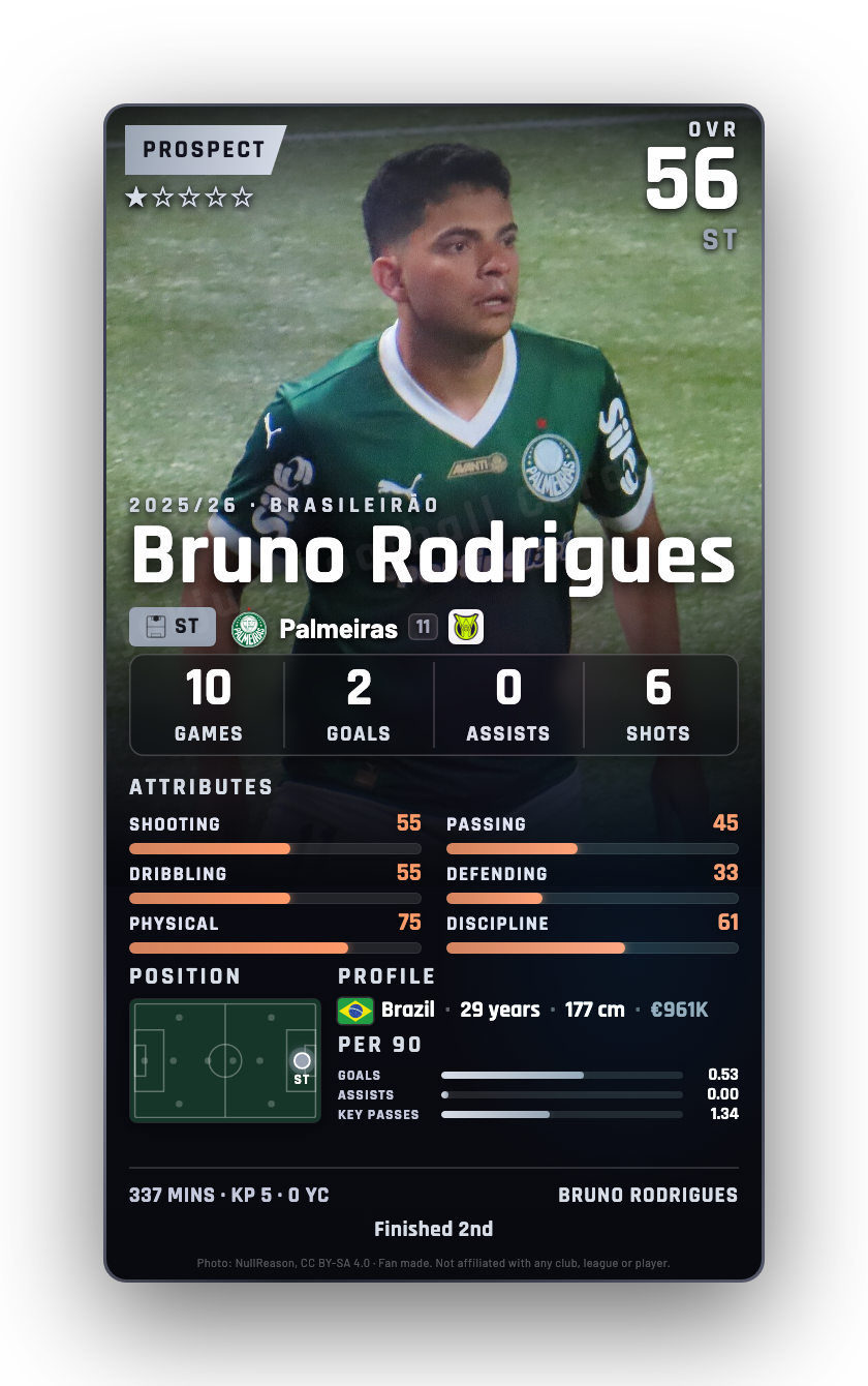Bruno Rodrigues