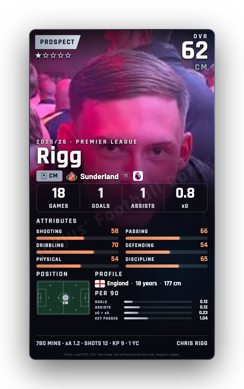 Rigg