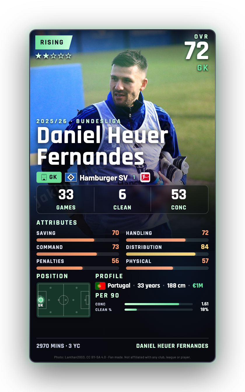 Daniel Heuer Fernandes