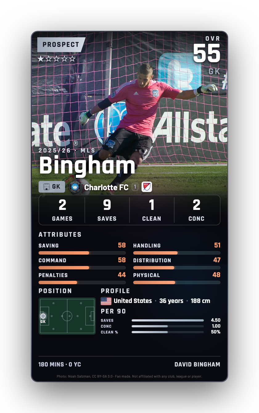 Bingham