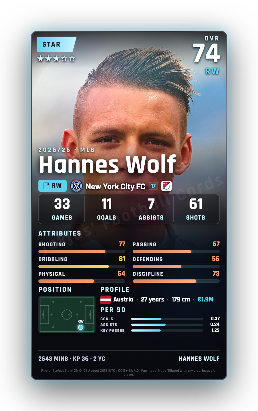 Hannes Wolf