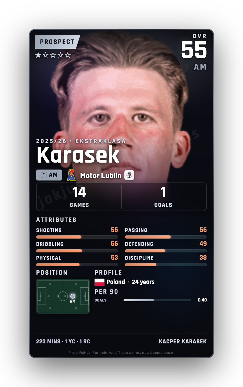 Karasek