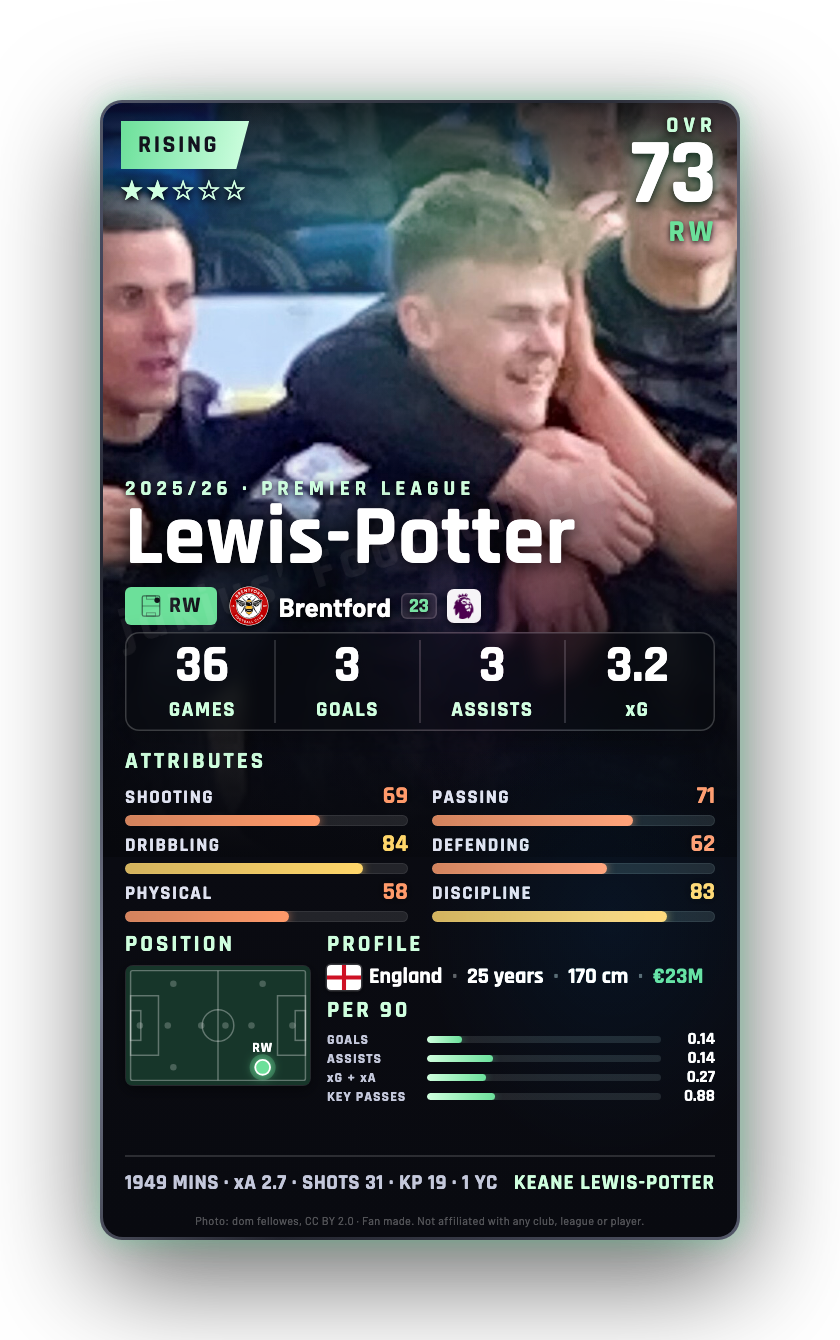 Lewis-Potter