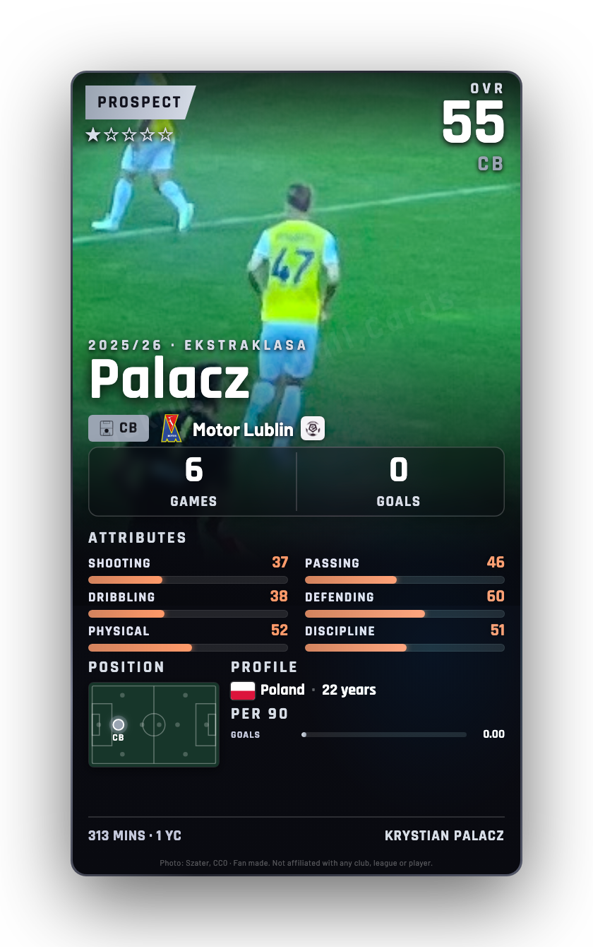 Palacz