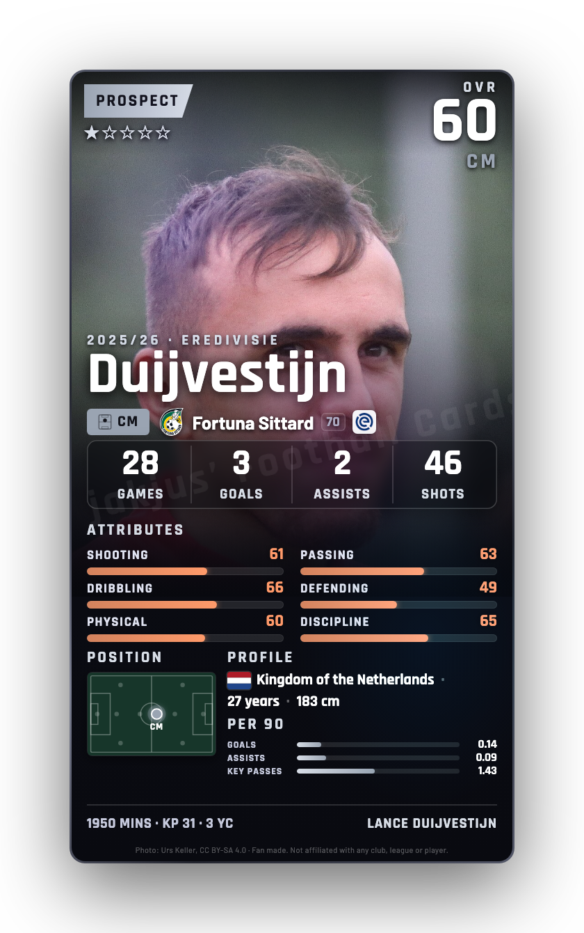 Duijvestijn