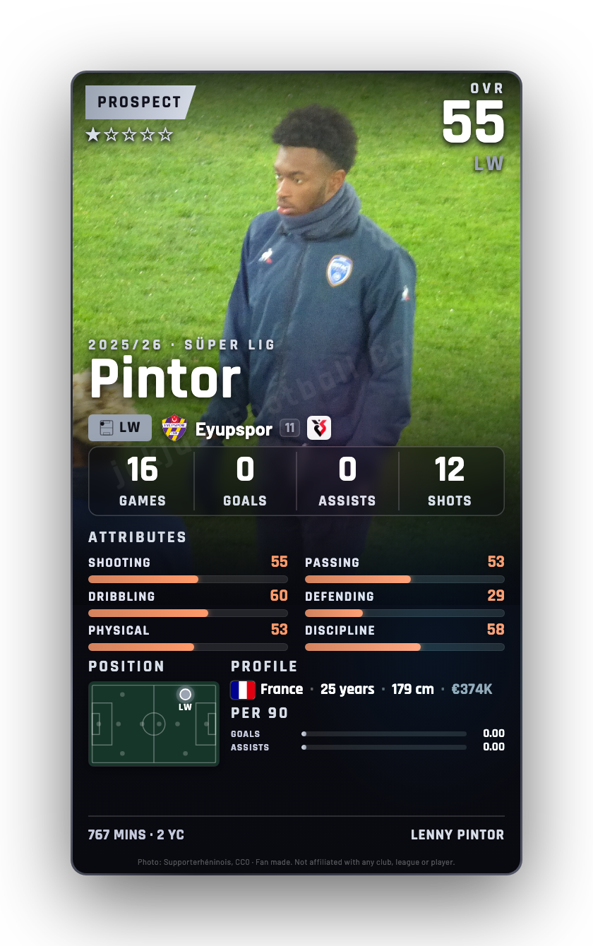 Pintor