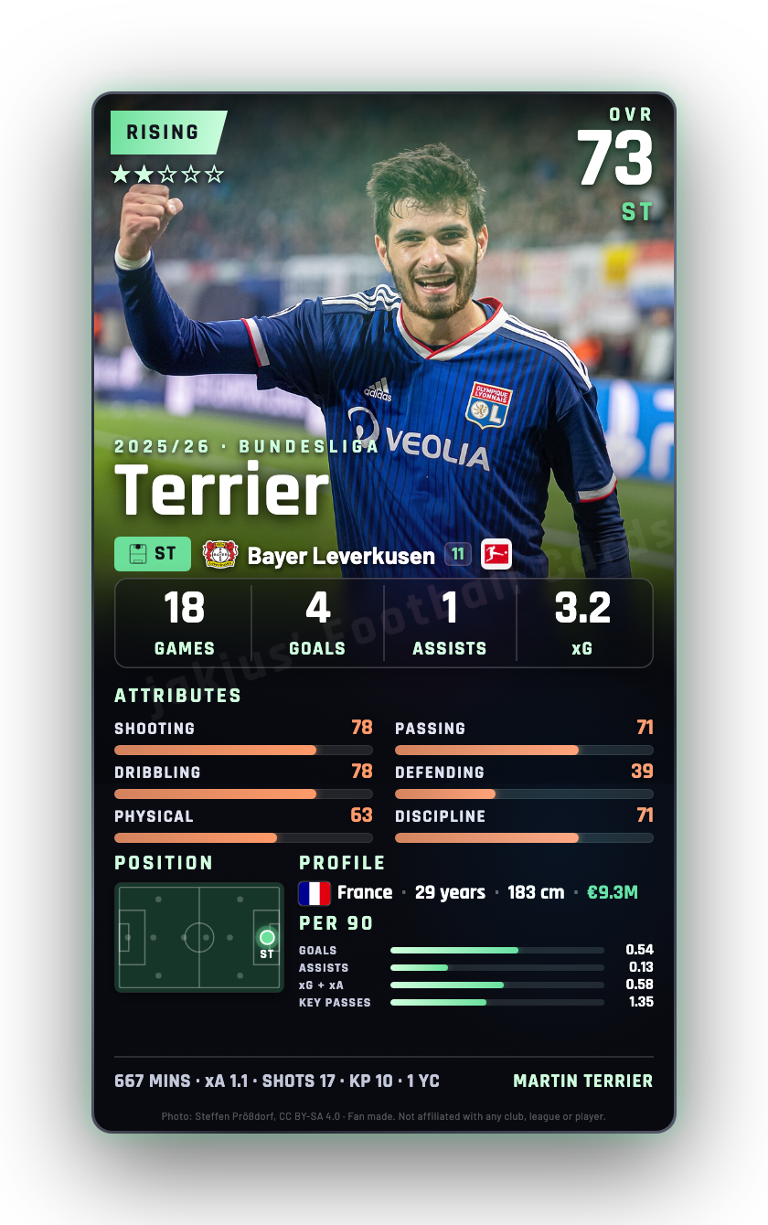 Terrier