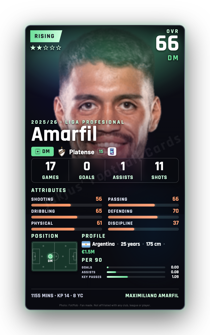 Amarfil