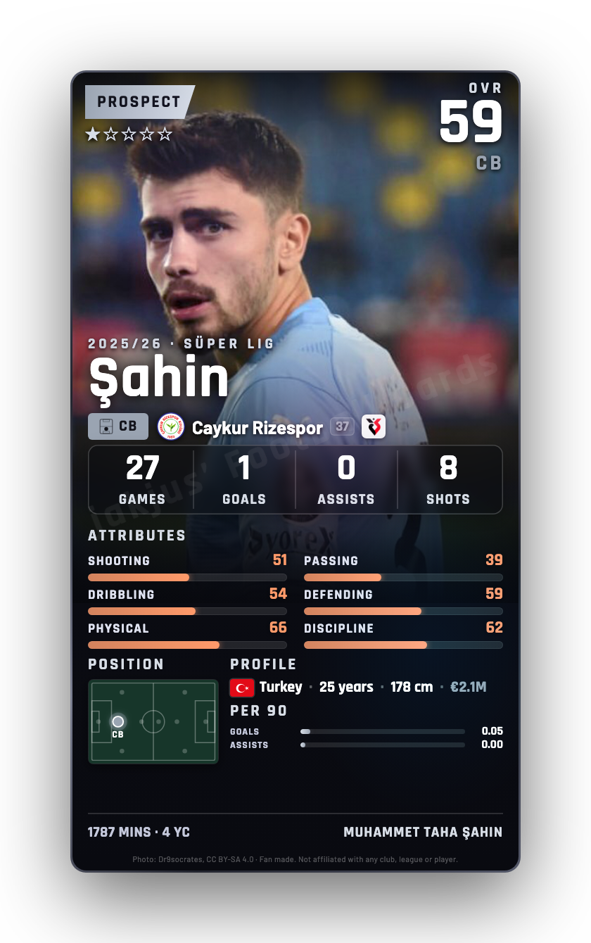 Şahin