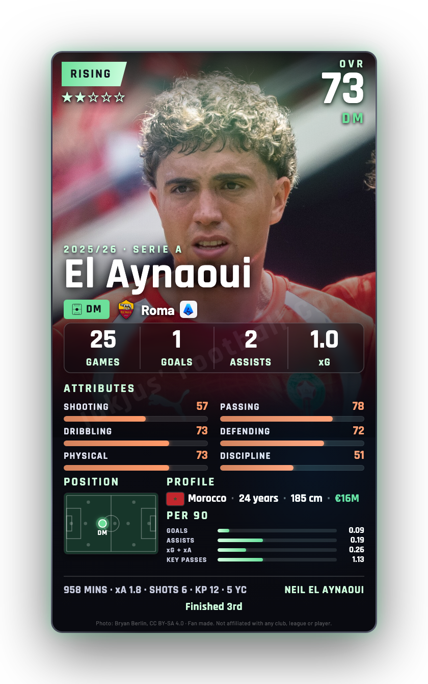 El Aynaoui