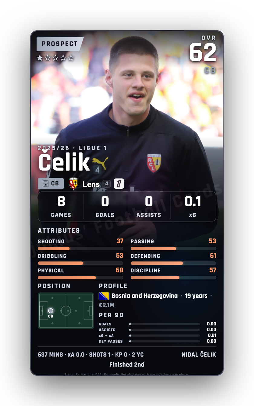 Čelik