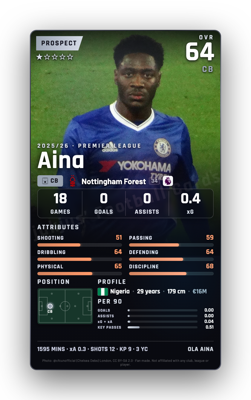Aina