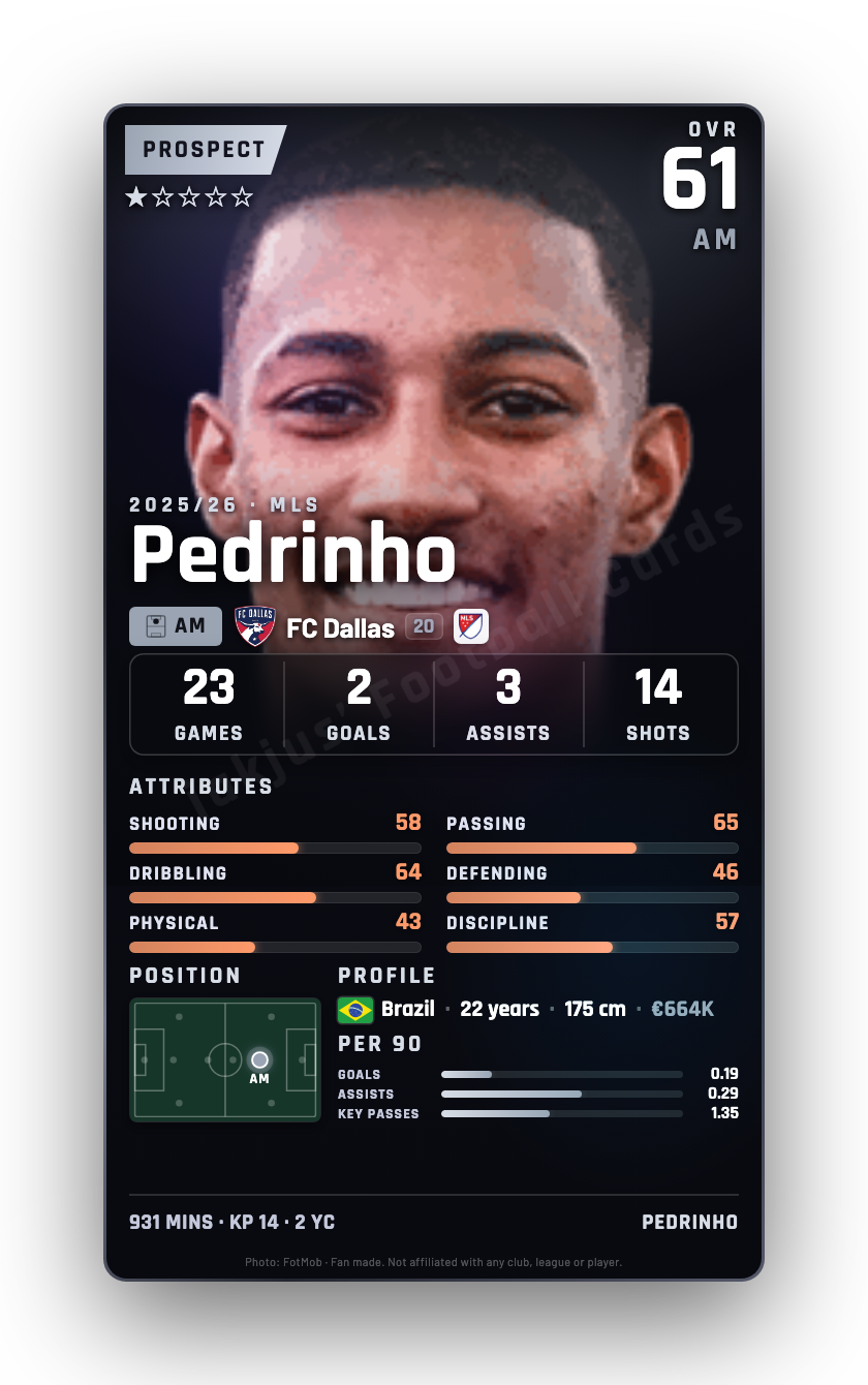 Pedrinho