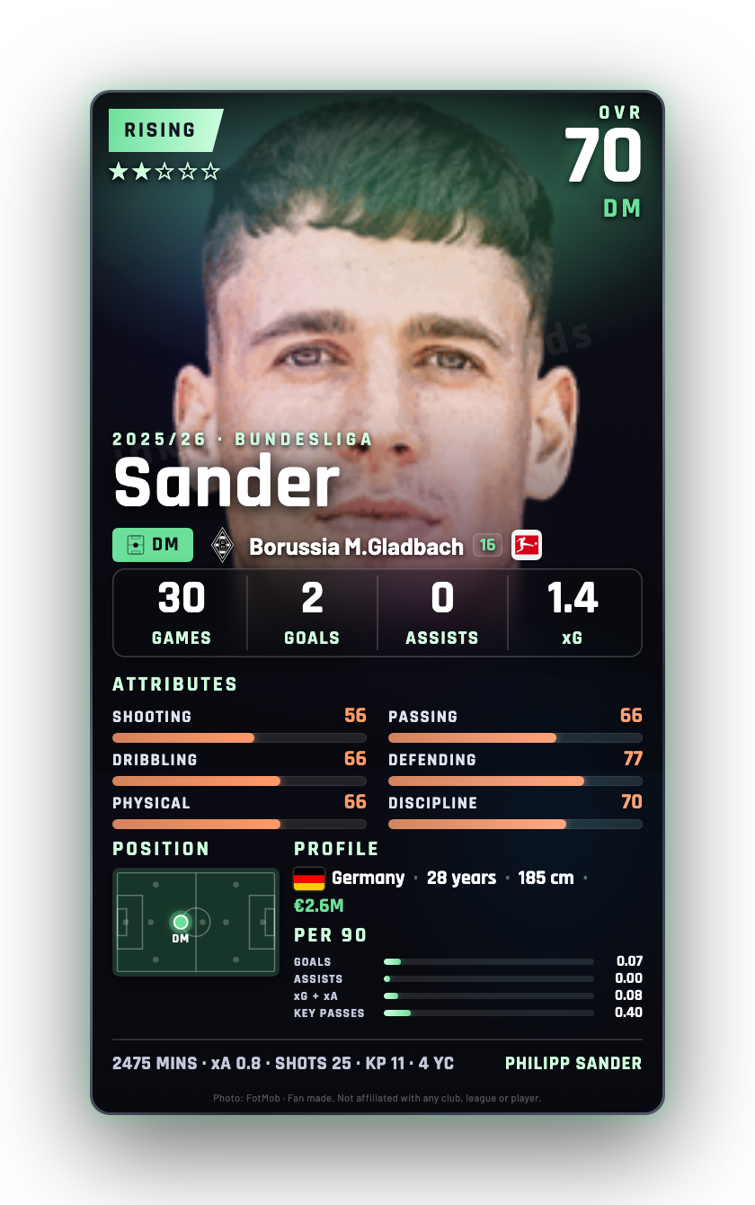 Sander