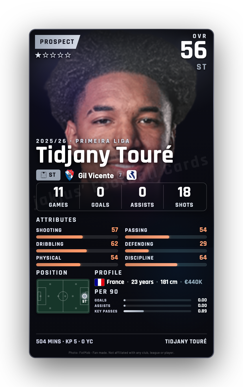 Tidjany Touré