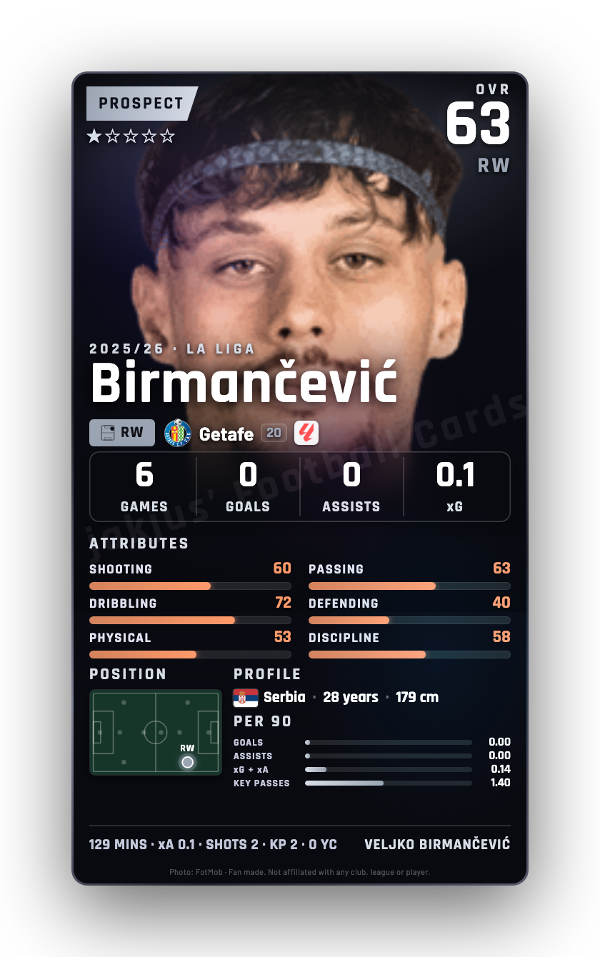Birmančević