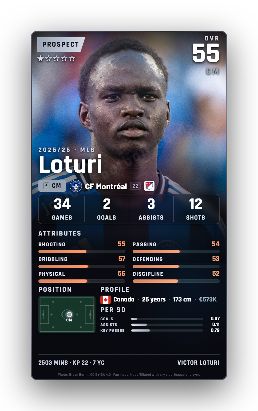 Loturi