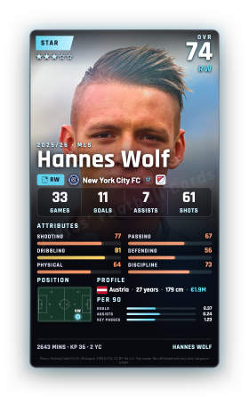 Hannes Wolf